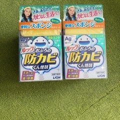 浴室　防カビ剤2セット
