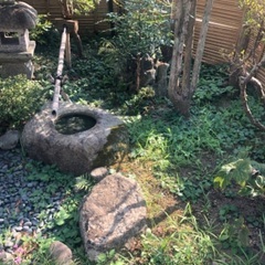民家の周りの草むしり