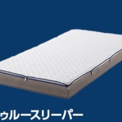 【取引決定】【トゥルースリーパー】
