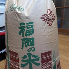 お米（行橋産の玄米)