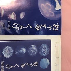 おやすみくらげ DVDの画像