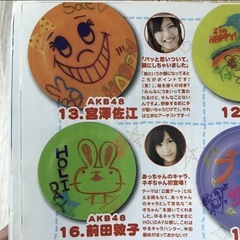 宮澤佐江 フライングディスクの画像