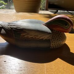 くちばしの折れたデコイ