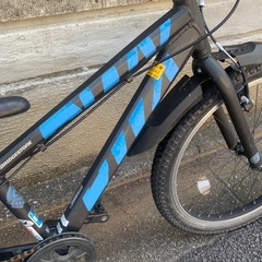 ブリヂストン  BWX 24インチの画像