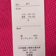ワンピース　ジーンズ生地　4L 　重ね着秋服🆗！　
試着のみの画像