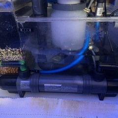 レイシー　UVF1000殺菌灯