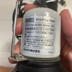 エキゾテラ　ライブドーム14cm