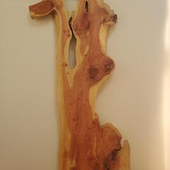 カイヅカイブキ こぶありの画像