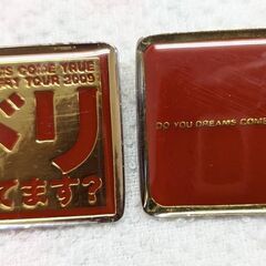 ☆ドリカム　ドリームスカムトゥルー　ツアーグッズ　ピンズバッジ　未使用品　の画像