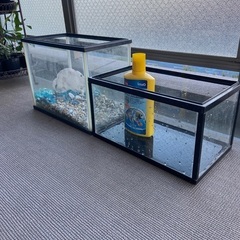 水槽　2個セット　