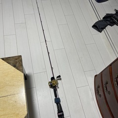 リール　カルカッタ400FとダイワリーディングEXヒラメ265