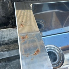 ドッグバスの画像