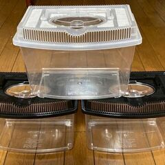 昆虫飼育ケース・小サイズ3個