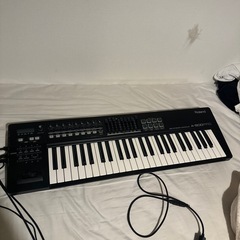 ローランドA500pro
