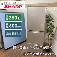 S714 ⭐ SHARP 3ドア冷蔵庫(350L 両開き）18年製 SJ-W352D ⭐ 動作確認済 ⭐ クリーニング済