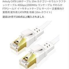 LANケーブル10mの画像