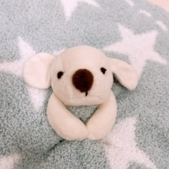 【美品】ベビー　ブランケット　ベアフットドリームスの画像