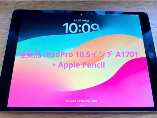 極美品 iPadPro 10.5インチ A1701 + Apple Pencil