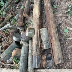 電柱　薪焚き木などに長いのも有り