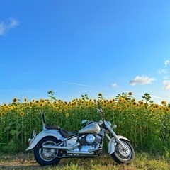 ドラッグスター400クラッシックの画像