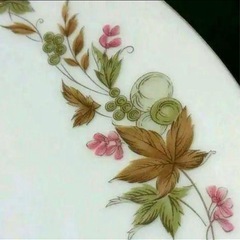 ★新品希少　Nittoroyal ノリタケ楓もみじ　中皿希少レアヴィンテージ廃盤の画像