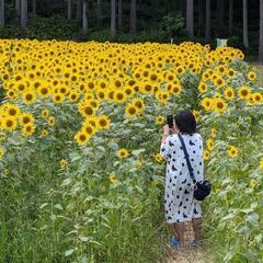 兵庫県北部エリアのバレーが3度の飯より好きな人集合‼️