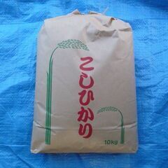 ★数量制限ナシ★【値下げ】【新米コシヒカリ】玄米 10kg