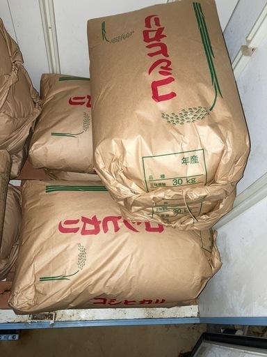 新米令和6年産茨城コシヒカリ玄米1袋11,000円　12袋まとめ買い希望