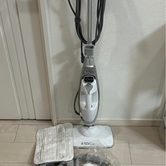 2WAYスチームクリーナー