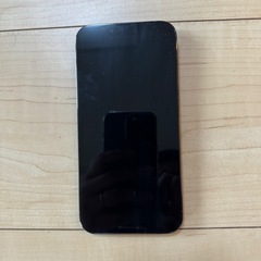【12日まで限定】iPhone 13pro 128GB アルパイ...