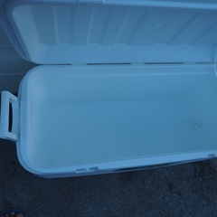 新品未使用     大型イグルークーラーボックスの画像