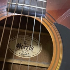 [差し上げます] Morris W20 アコースティックギターの画像