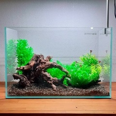 【水槽関連】流木セット4の画像
