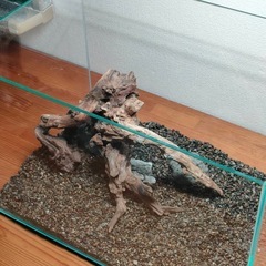 【水槽関連】流木セット4の画像