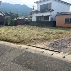 ご予約から3日以内に草刈り承ります。基本料金8,000円🌱当社の強みは早く対応すること、丁寧に対応することです😁女性スタッフ対応可能💁‍♀️ - 便利屋