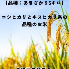 ☆新米☆令和6年産☆【あきさかり】☆5キロ玄米☆の画像