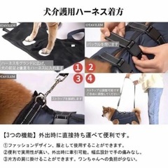 介護用ハーネス 犬用  の画像