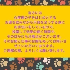 人、動物などを含む福祉講師させて頂きます。