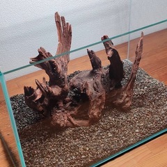 【水槽関連】流木セット3の画像