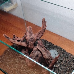 【水槽関連】流木セット3の画像