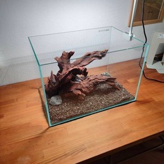 水槽関連】流木セット1