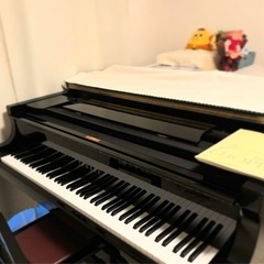 マンツーマンピアノレッスン(子どもから大人まで/ソルフェージュ)の画像