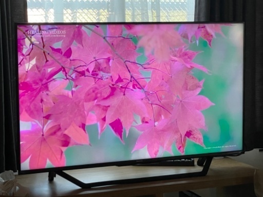 値下げしました　9/12 21時に泉区か瀬谷区、大和市で　新品同様　ハイセンス　4Kチューナー内臓43インチテレビ