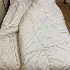 決まりました　
クイーンサイズ　掛け布団