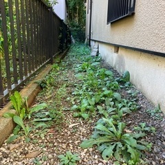 草刈り・剪定、造園やってます☺️ - 剪定/造園