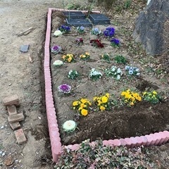 草刈り・剪定、造園やってます☺️ - 地元のお店