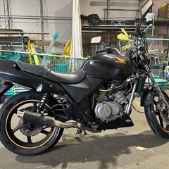 ゼルビス　250の画像