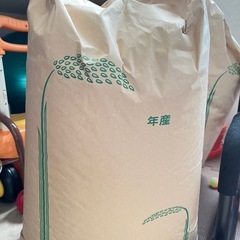 令和6年コシヒカリ新米30kg