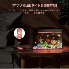 ERAARK水槽の画像