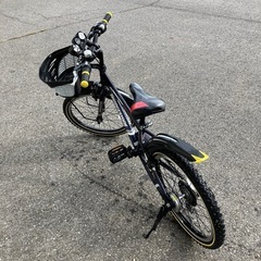 【お取引き完了致しました】ブリヂストン20インチ子供用自転車の画像